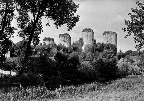 Vue générale du chateau militaire du Coudray-Salbart