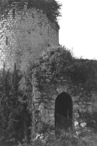 Courtine et tour de Bois-Berthier. Grillage posé en 1979