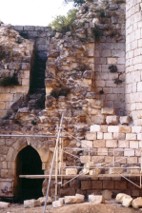 Image29